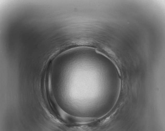 X0000071380201200606301818