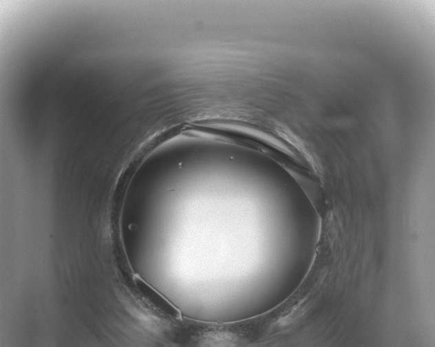 X0000071380203200606301818