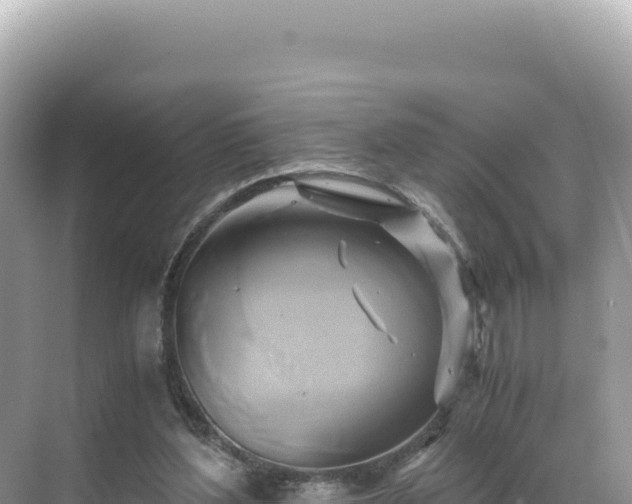 X0000071380204200606301818