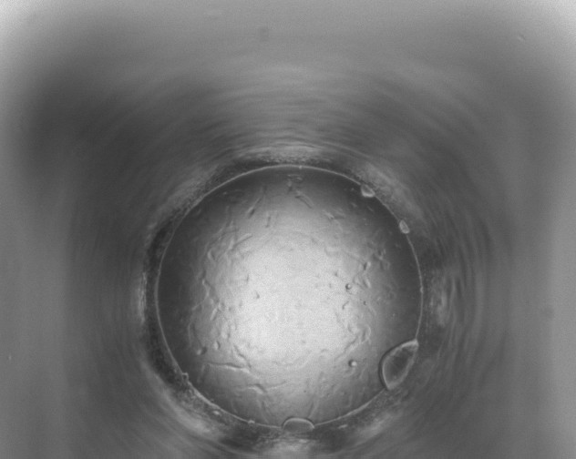 X0000071380206200606301818