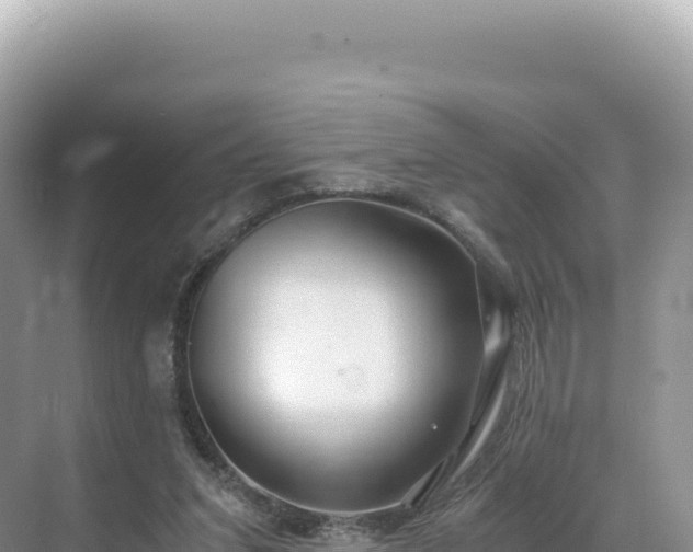 X0000071380207200606301818