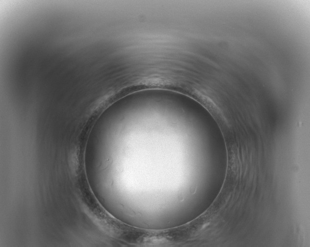 X0000071380208200606301818