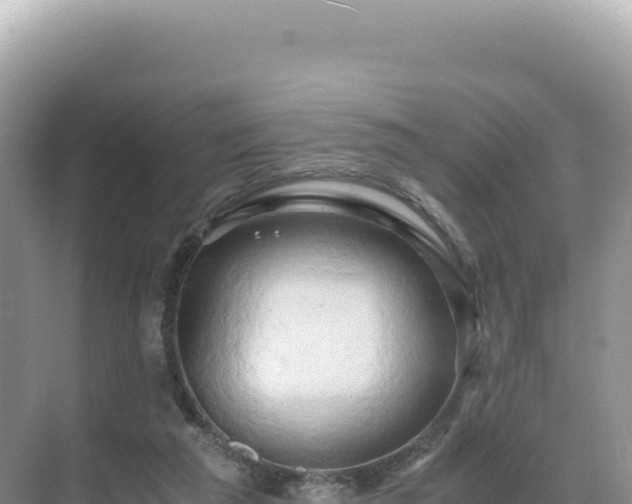 X0000071380209200606301818