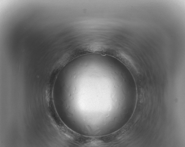 X0000071380210200606301818