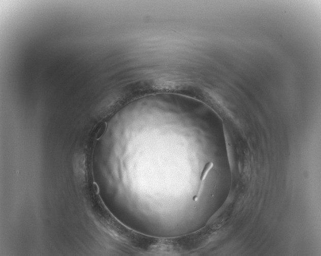 X0000071380211200606301818