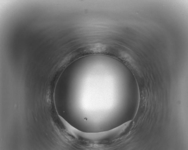 X0000071380212200606301818