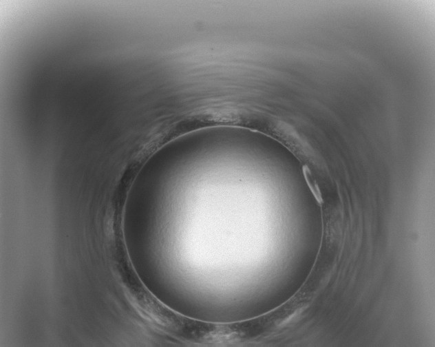 X0000071380213200606301818