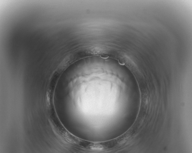 X0000071380214200606301818