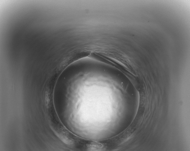 X0000071380215200606301818