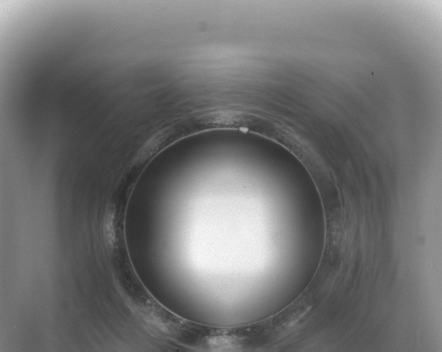 X0000071380216200606301818