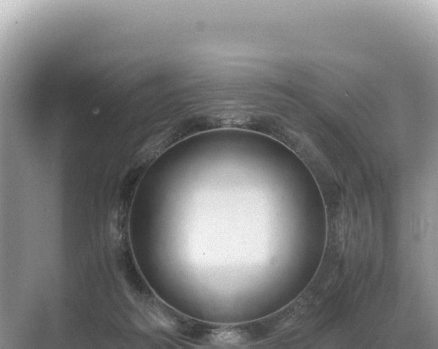 X0000071380218200606301818