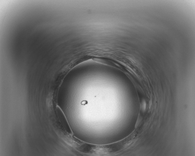 X0000071380221200606301818