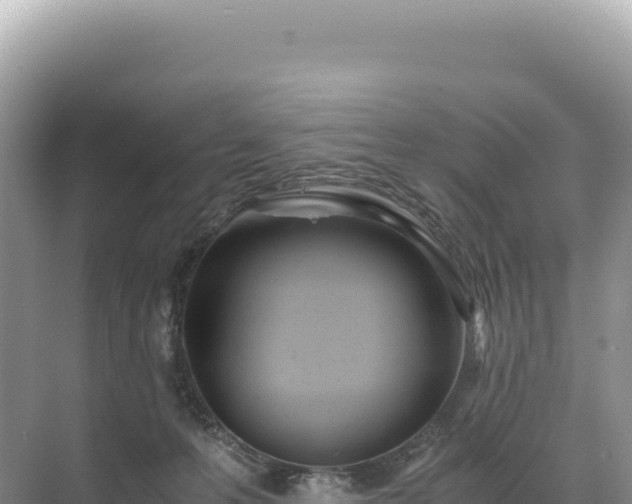 X0000071380223200606301818