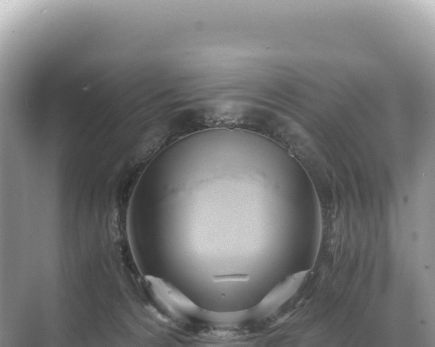 X0000071380224200606301818