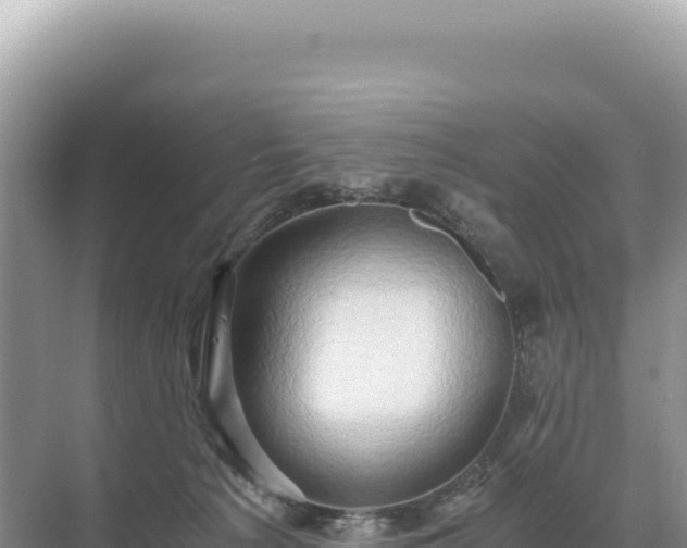 X0000071380225200606301818