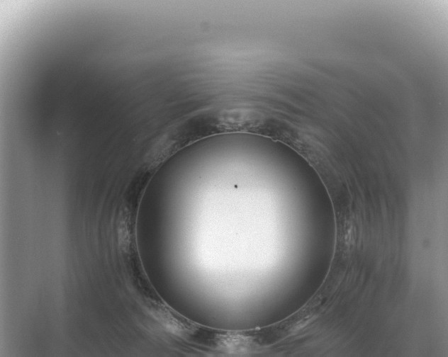 X0000071380226200606301818