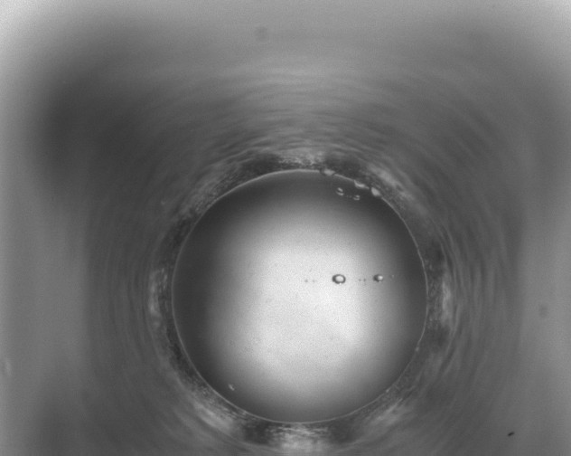 X0000071380229200606301818