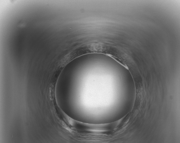 X0000071380233200606301818