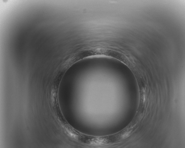 X0000071380235200606301818