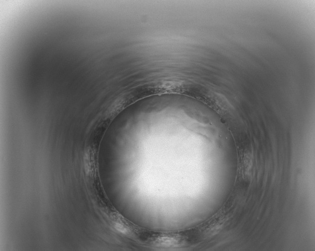 X0000071380236200606301818