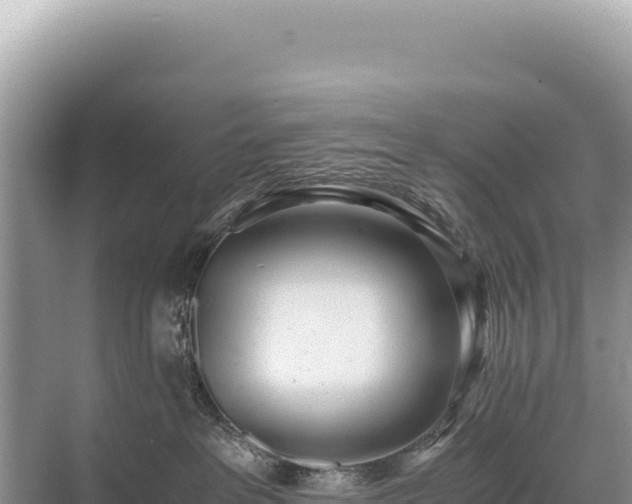 X0000071380237200606301818