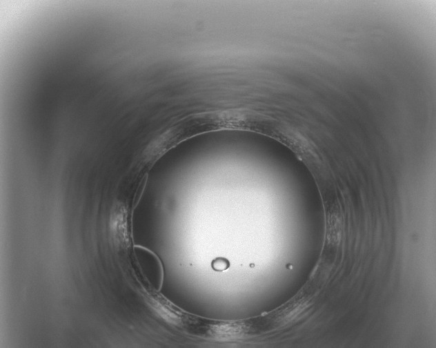 X0000071380238200606301818