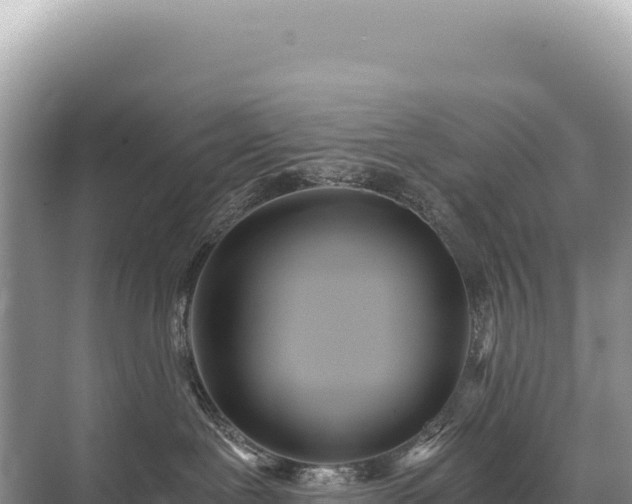 X0000071380239200606301818