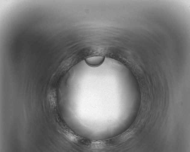 X0000071380240200606301818