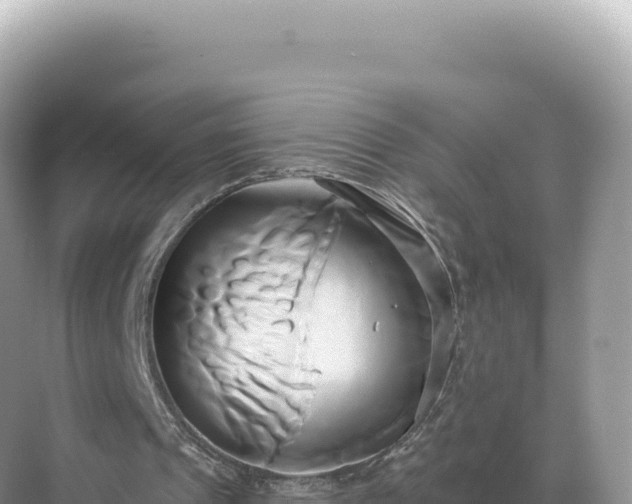 X0000071380241200606301817