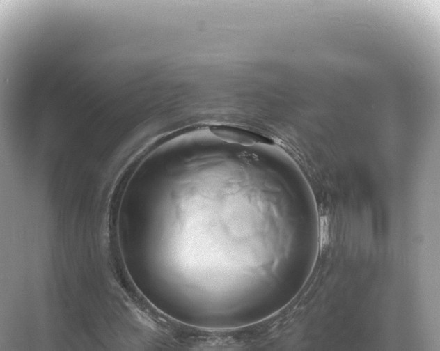 X0000071380243200606301817