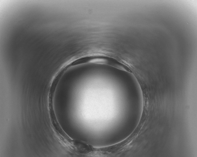 X0000071380244200606301817