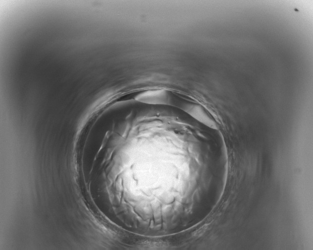 X0000071380245200606301817