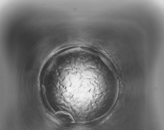 X0000071380246200606301817