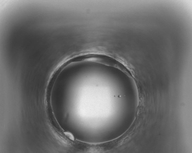 X0000071380248200606301817