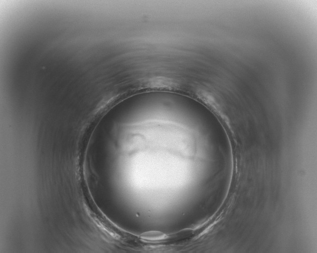 X0000071380249200606301817