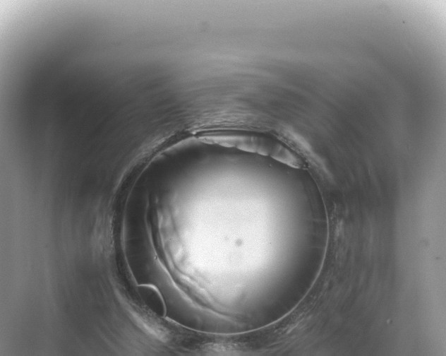 X0000071380250200606301817