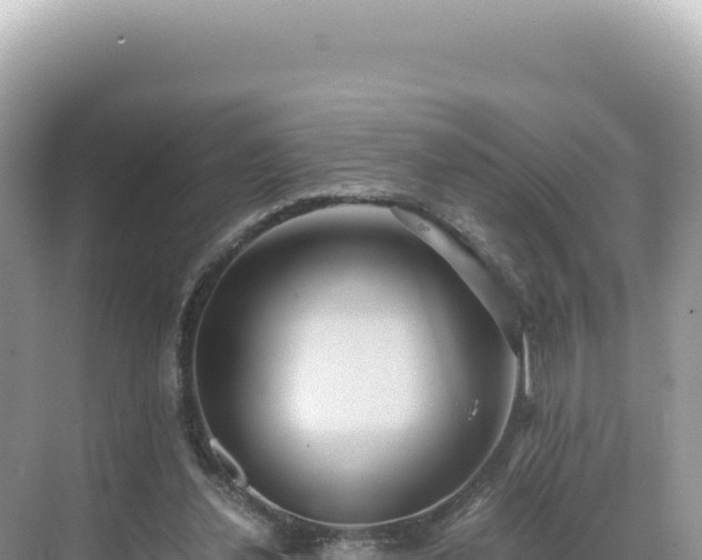 X0000071380252200606301817