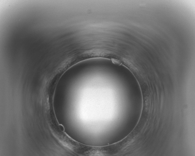 X0000071380254200606301817