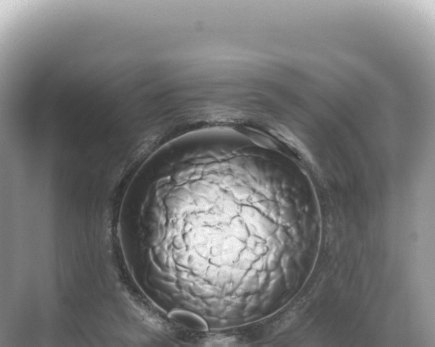 X0000071380257200606301817