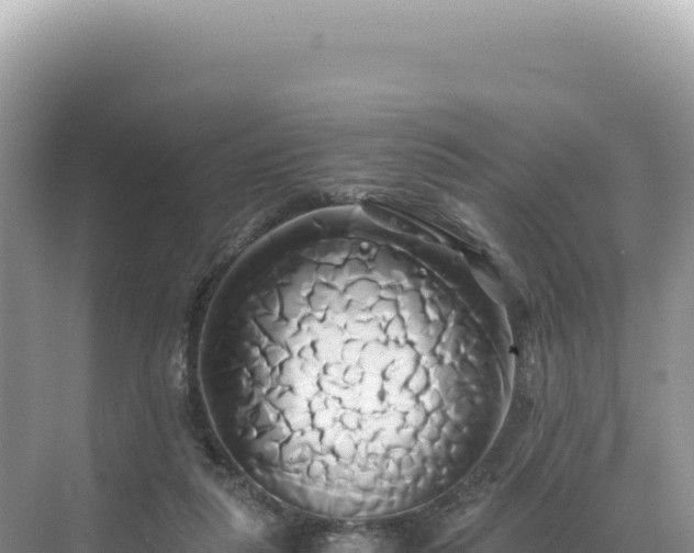 X0000071380259200606301817