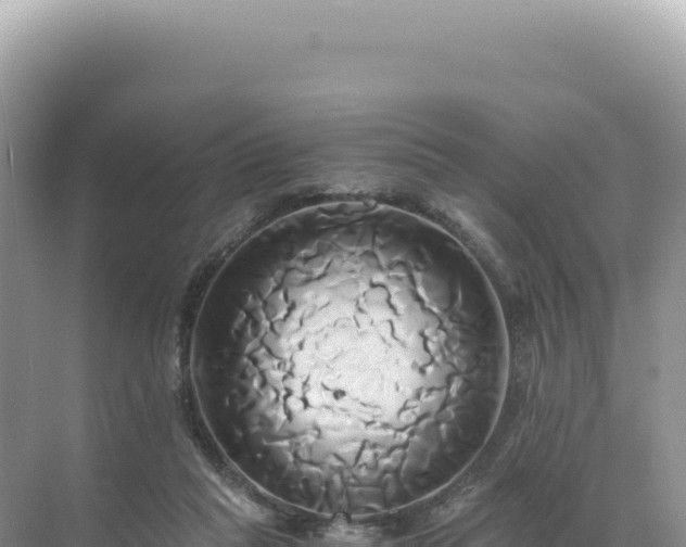 X0000071380261200606301817