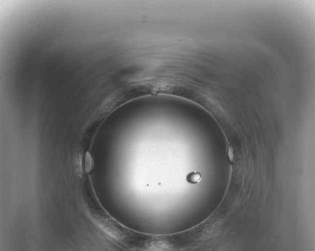 X0000071380262200606301817