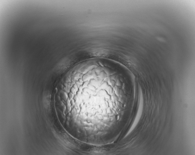 X0000071380263200606301817