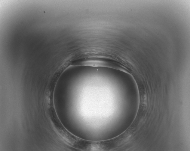 X0000071380264200606301817