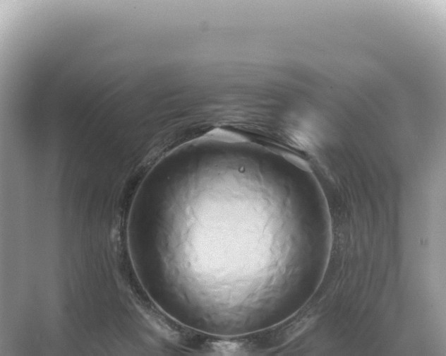 X0000071380265200606301817