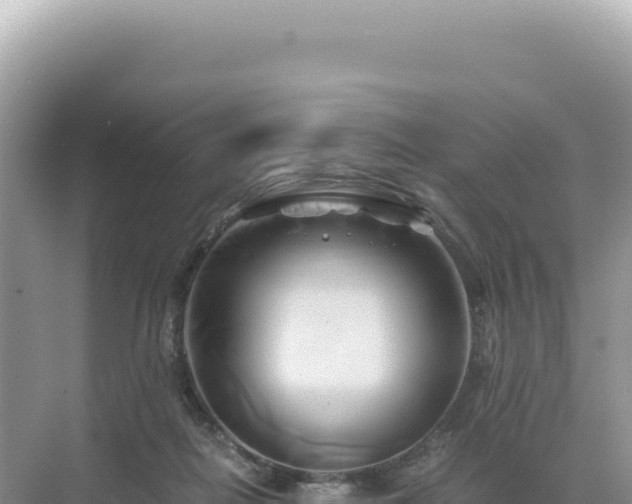 X0000071380266200606301817