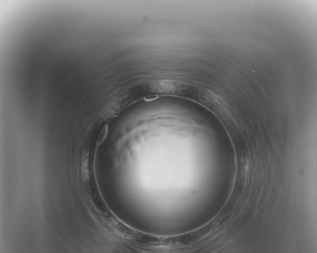 X0000071380267200606301817