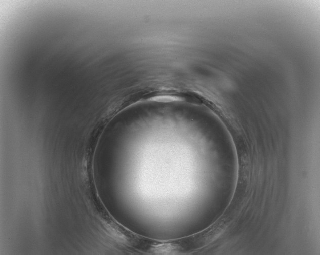 X0000071380269200606301817