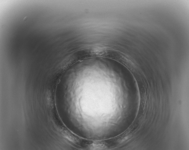 X0000071380270200606301817