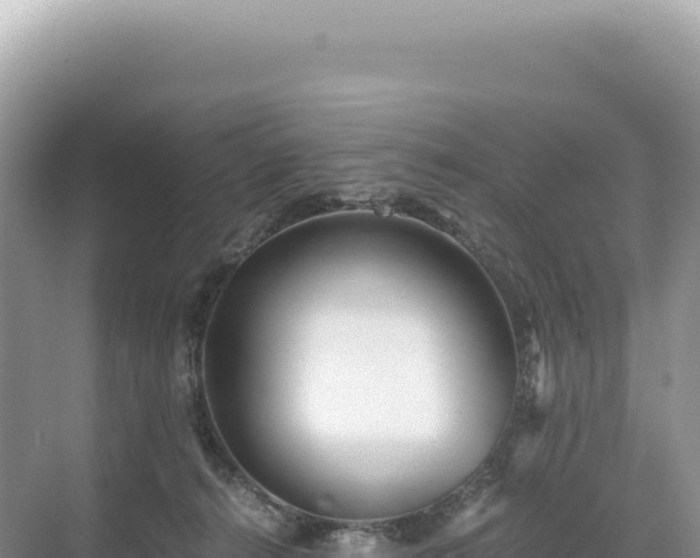 X0000071380272200606301817